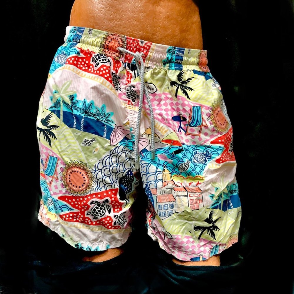 Vilebrequin Men's Turtle Trunks